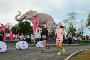 BIB: 
                            <button type="button" onclick="openModal(26529038)" class="btn btn-primary btn-sm float-right btn-popup" data-toggle="modal" data-target=".modal-high-quality">
                        <i class="fas fa-shopping-cart"></i> Add to Cart
                    </button>
                                            <button type="button" onclick="isThisMe(26529038, true)" class="btn btn-success btn-sm float-right btn-popup btn-isme hidden" data-toggle="tooltip" data-placement="bottom" title="นี่คือรูปของคุณใช่ไหม คลิกที่นี่เพื่อเอาเข้าอัลบั้ม">
                        <i class="fas fa-plus"></i> Add to album
                    </button>
                    <button type="button" onclick="isThisMe(26529038, false)" class="btn btn-warning btn-sm float-right btn-popup btn-isnotme hidden">
                        <i class="fas fa-ban"></i> Remove from album
                    </button>